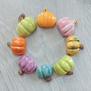 Può includere: Una collezione di otto zucche in ceramica di vari colori, tra cui verde, arancione, rosa, giallo, viola e blu. Ogni zucca ha una superficie strutturata e un gambo marrone. Le zucche sono disposte a cerchio.