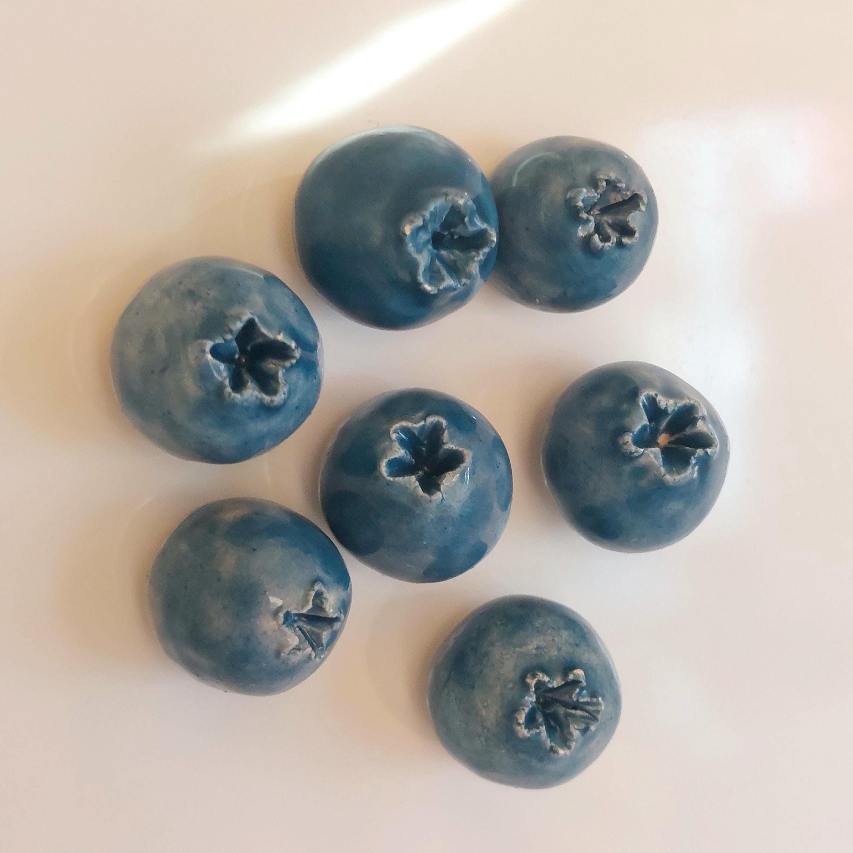 Handmade Blueberry Ceramic Fridge Magnets / Small ceramic artwork decor / Realistic fruit art