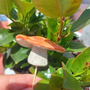 Handcrafted Ceramic Mushroom • Botanical Sculpture • Garden and Flower Pot Ornament • Woodland Fungi Decor