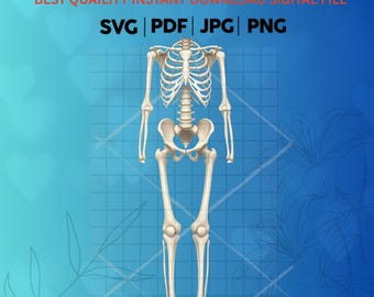 Full Body Skeleton Print for Jumpsuit - Digital Download - SVG, JPG, PNG Files for Apparel & T-Shirt Printing