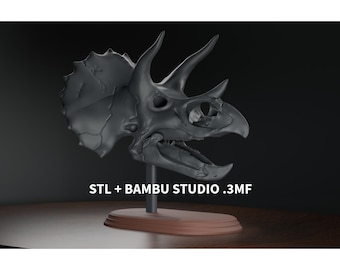 May include: A dark gray Triceratops skull model, mounted on a stand with a brown base. The image includes the text "STL + BAMBU STUDIO .3MF". The skull features three horns and a frill.