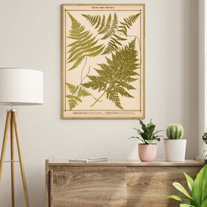 Botanical Rolled Posters, Vintage Wall Art Decor Print Greenery Gift for Plant Lovers, Nature Prints Home Office Art