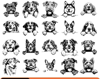 Colección completa de razas de perros: archivos SVG y PNG para Cricut (uso comercial, descarga instantánea)
