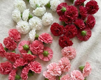 May include: A collection of numerous carnation flower heads arranged in four distinct color groups. The assortment includes white, deep red, coral pink, and light blush pink blossoms, each featuring ruffled petals and a small green base.
