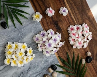 White Plumeria Clay Flower Beads, Lei Making, Jewelry Earrings DIY 30mm