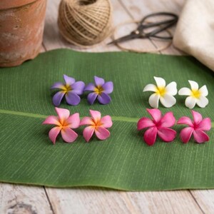 Puede incluir: Cuatro pares de pendientes con forma de flor de plumeria en morado, blanco, rosa claro y rosa oscuro. Cada flor tiene cinco pétalos con un centro amarillo o naranja en contraste, dispuestos sobre una hoja verde grande y plana.