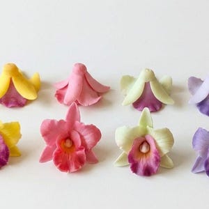 Puede incluir: Ocho pequeños adornos decorativos con forma de orquídea dispuestos en dos filas. La fila superior presenta cuatro capullos cerrados, mientras que la fila inferior muestra cuatro flores completamente abiertas. Colores: amarillo, rosa, verde claro y violeta.