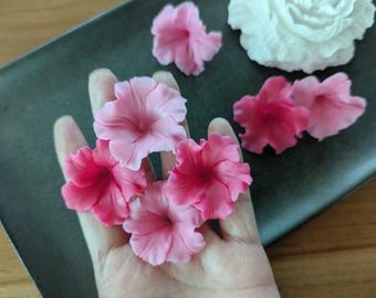 Könnte beinhalten: Nahaufnahme von mehreren rosa und roten Blütenblättern, von denen einige in einer Hand gehalten werden. Die Blütenblätter haben ein zartes, gerüschtes Aussehen. Eine weiße Blume ist ebenfalls auf einer dunkelgrauen Oberfläche zu sehen.