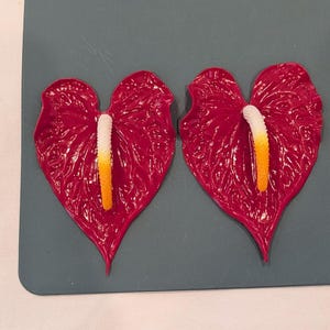 Puede incluir: Dos flores de anturio en forma de corazón con espatas de color rojo intenso brillante y superficies texturizadas. Cada flor presenta un espádice central que transiciona de una base blanca a una punta amarilla brillante, creando un contraste.