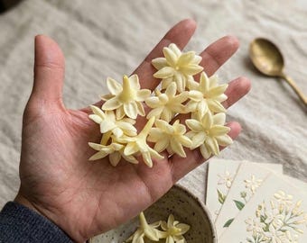 Clay Jasmine Flower Beads Light Yellow Pikake Lei, Jewelry Making