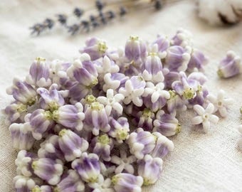 100 Clay Crown Flower Beads, Gradient Pink and Purple Crown Lighter Version