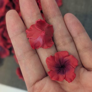 Op de afbeelding: Twee kleine, vijfbladige rode bloemen met een donkerpaars centrum. De bloemblaadjes hebben een gladde, matte textuur en een licht gegolfde rand. De bloemen zijn gevormd als kleine bloesems, waarbij er één de voor- en één de achterkant toont.
