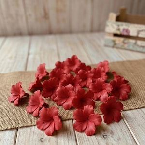 Puede incluir: Un conjunto de vibrantes flores rojas de cinco pétalos dispuestas sobre una tela de yute. Las flores están agrupadas, algunas dispersas. El fondo presenta una superficie de madera y una caja de madera decorativa.