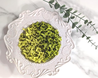 Yellow-Green, Black, Green, White Pakalana Flowers 01 Style, Lei Jewelry Making Beads