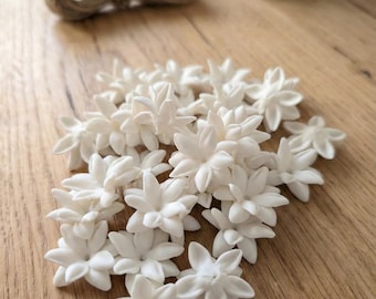 Perles de fleurs en argile de jasmin blanc sans tige, Pikake Lei, fabrication de boucles d'oreilles, porte-clés