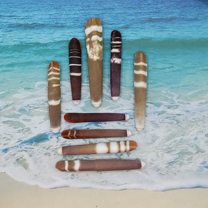 May include: A collection of eight seashells with brown, white, and black stripes. The shells are arranged in a pattern resembling a crown.