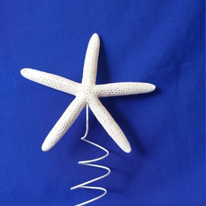 Real STARFISH TREE TOPPER ~ 5" to 10" ~Starfish Topper~Coastal Christmas Tree Topper~Beachy Tree Topper