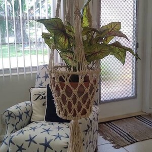 May include: A macrame plant hanger with a white tassel hangs from the ceiling and holds a potted plant with green and red leaves. The plant hanger is over a blue and white armchair with a starfish pattern.