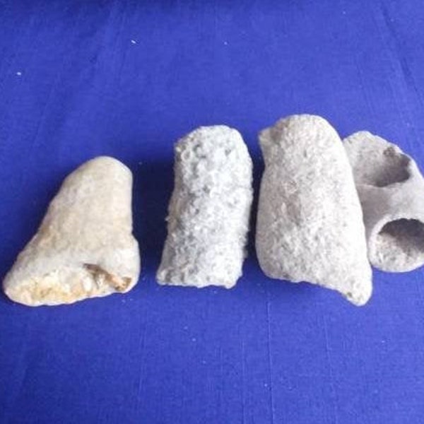 4 Gray & Tan  OCEAN PUMICE TUBES~Tubular Shaped~Beach Pumice~Hag Stone~Fish Tank~Curiosity~Oddity~Palm Beach Finds~Fossilized~Specimen