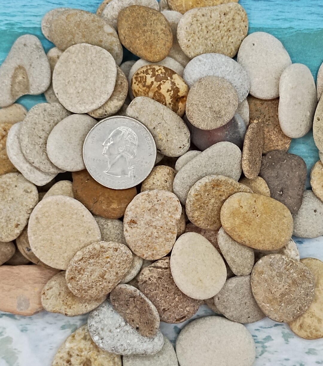 STONE REEF ROCK ~ 10-100pcs ~ up to Quarter Size ~ Pebbles Zen ~ Fairy ...