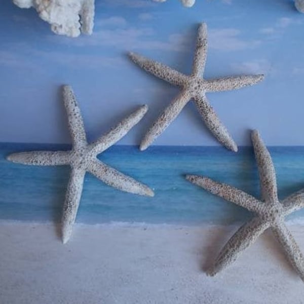 Faux CERAMIC STARFISH~ Beach~Nautical Decor~Coastal~Cottage~Craft