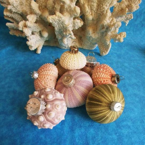 SEA URCHIN ORNAMENT ~ Purple ~ Knobby ~ White ~ Green ~ Pink ~ Painted Green or Teal