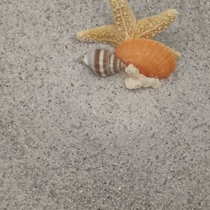 May include: A starfish, a seashell, and a piece of coral on a sandy beach.
