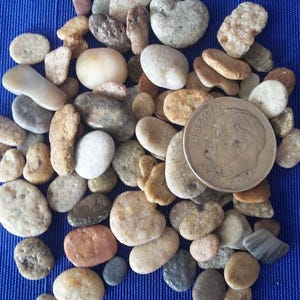 Stone MINI TEENY PEBBLES ~ 10-100pcs Surf Beach Tossed Smooth Rocks ~ Stones ~  Super Tiny ~  Jewelry Zen ~ Fairy Garden ~ Sailors Valentine