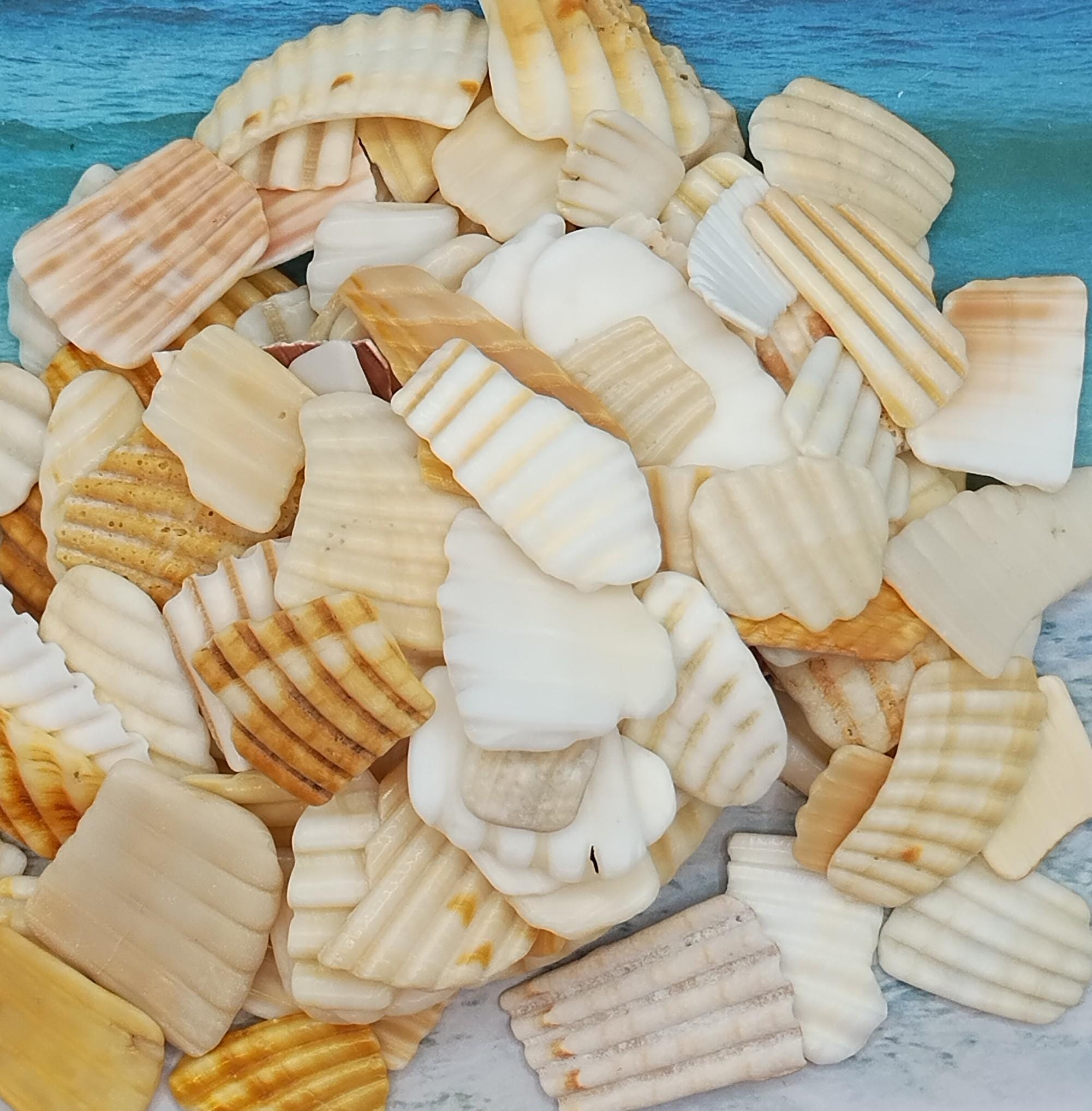100g Light Blue Shell Mosaic Pieces - Irregular Natural Shapes For Stained Glass Art & Craft Projects