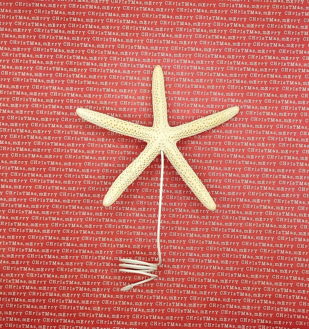 Real STARFISH TREE TOPPER ~ 5