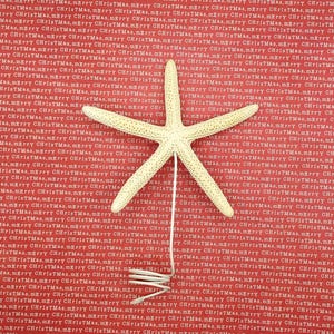 Real STARFISH TREE TOPPER ~ 5&quot; to 10&quot; ~ Your trees new Beach Bum ~ Coastal Christmas Tree Topper ~ Beachy Tree Topper