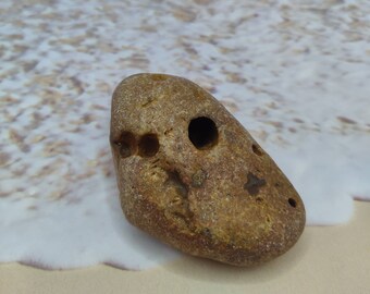 ROCK PEN HOLDER ~ Ocean Rock ~ Beach find ~ One-of-a-kind