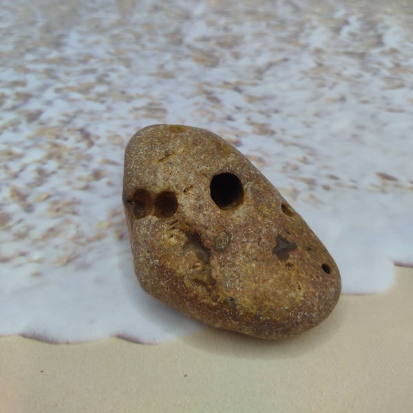 ROCK PEN HOLDER ~ Ocean Rock ~ Beach find ~ One-of-a-kind