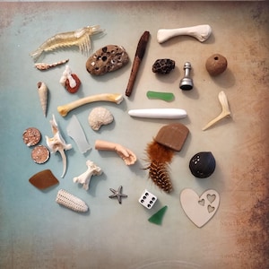 May include: An assortment of natural and found objects, including a shrimp, bones, shells, a chess piece, a feather, a die, and a starfish. The objects are arranged on a textured, light blue and brown background.
