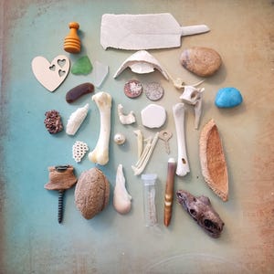 May include: An assortment of natural and found objects, including bones, shells, a wooden heart, and a blue stone, arranged on a textured surface. The collection features various shapes, sizes, and textures, creating a unique display of organic elements.