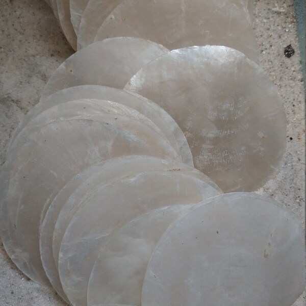 5 CAPIZ SHELL DISC 3" Coastal Beach Craft