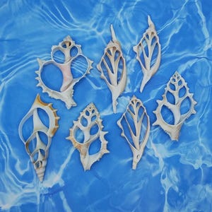 May include: A set of three ceramic mugs with a speckled, matte finish. The mugs are in shades of cream, light gray, and dark gray. Each mug has a simple, minimalist design, perfect for coffee or tea.