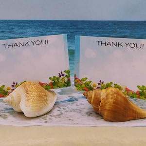 SEASHELL PLACE CARD Holders-Business Card Holder-Coastal-Beach Decor-Unique-Party Favors-Wedding Favors