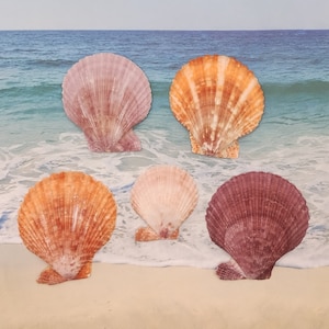 May include: Five seashells of different colors and sizes arranged on a sandy beach. The shells are all open and have a natural, organic look.