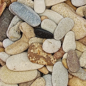 May include: A close-up shot of a collection of smooth, rounded stones in various sizes and colors. The stones range from light beige and gray to darker browns and a single black stone. The arrangement creates a natural, textured background.