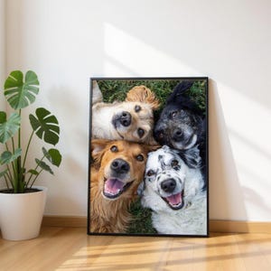 Könnte beinhalten: Ein gerahmter Druck mit vier Hunden verschiedener Rassen, die alle fröhlich aussehen. Die Hunde liegen auf grünem Gras, und der Rahmen ist schwarz. Die Fellfarben der Hunde reichen von golden bis schwarz und weiß.