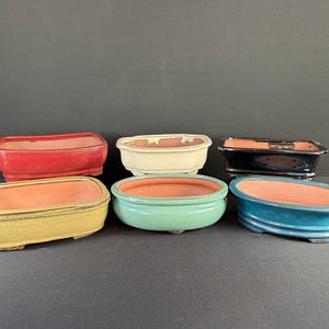 May include: A collection of six ceramic bonsai pots in various colors. The pots are rectangular and oval-shaped, with colors including red, yellow, green, blue, black, and cream. Each pot has a contrasting interior color.