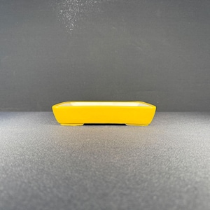 May include: A bright yellow rectangular planter with a white interior. The planter has a low profile and a simple, modern design. It is suitable for small plants or succulents.