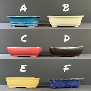 May include: Six ceramic bonsai pots in various colors: teal, cream, red, black, yellow, and blue. Each pot is rectangular with rounded corners and sits on small feet. The pots are arranged in two rows of three, labeled A through F.