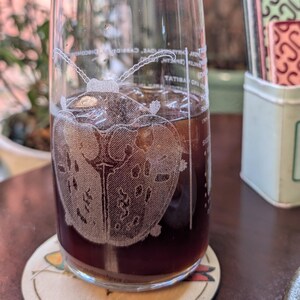May include: A glass of iced coffee with a beetle design etched on it, resting on a coaster. The drink is a dark brown colour, and the coaster has the text "Graphocephala Coccinea". The background is blurred.