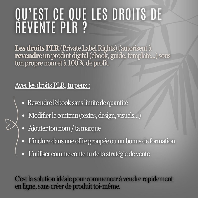 Puede incluir: Gr&aacute;fico con texto en franc&eacute;s que explica los Derechos de Reventa PLR. Detalla c&oacute;mo los PLR permiten revender productos digitales (ebooks, gu&iacute;as) bajo tu propio nombre, con un 100% de beneficio. Ventajas: reventa ilimitada, modificaci&oacute;n del contenido.