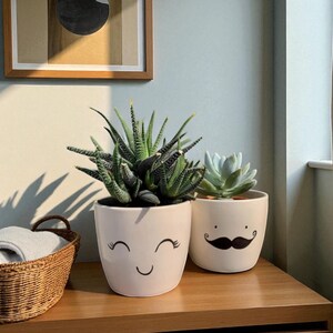 May include: Two white ceramic planters with smiling faces and succulents. One planter has a smiling face with eyelashes, and the other has a black mustache. The plants sit on a wooden surface with a woven basket and artwork in the background.