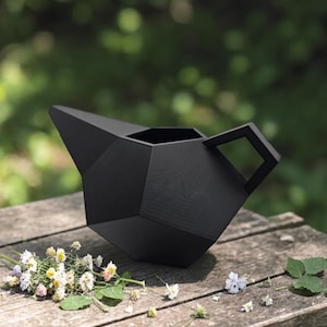 3D Geometric Watering Plant Pitcher