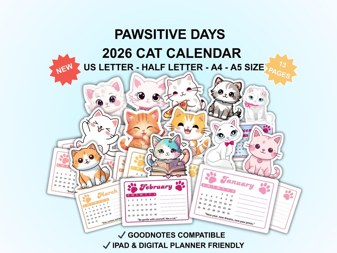 Pawsitive Days 2026 Cat Calendar | Motivational Cat Wall Calendar | One ...