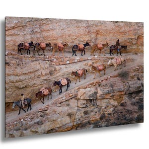 May include: A photograph of a line of donkeys carrying packs, walking along a rocky, winding path. The donkeys are various shades of brown and black, with some riders. The path is carved into a tan-colored cliff face.